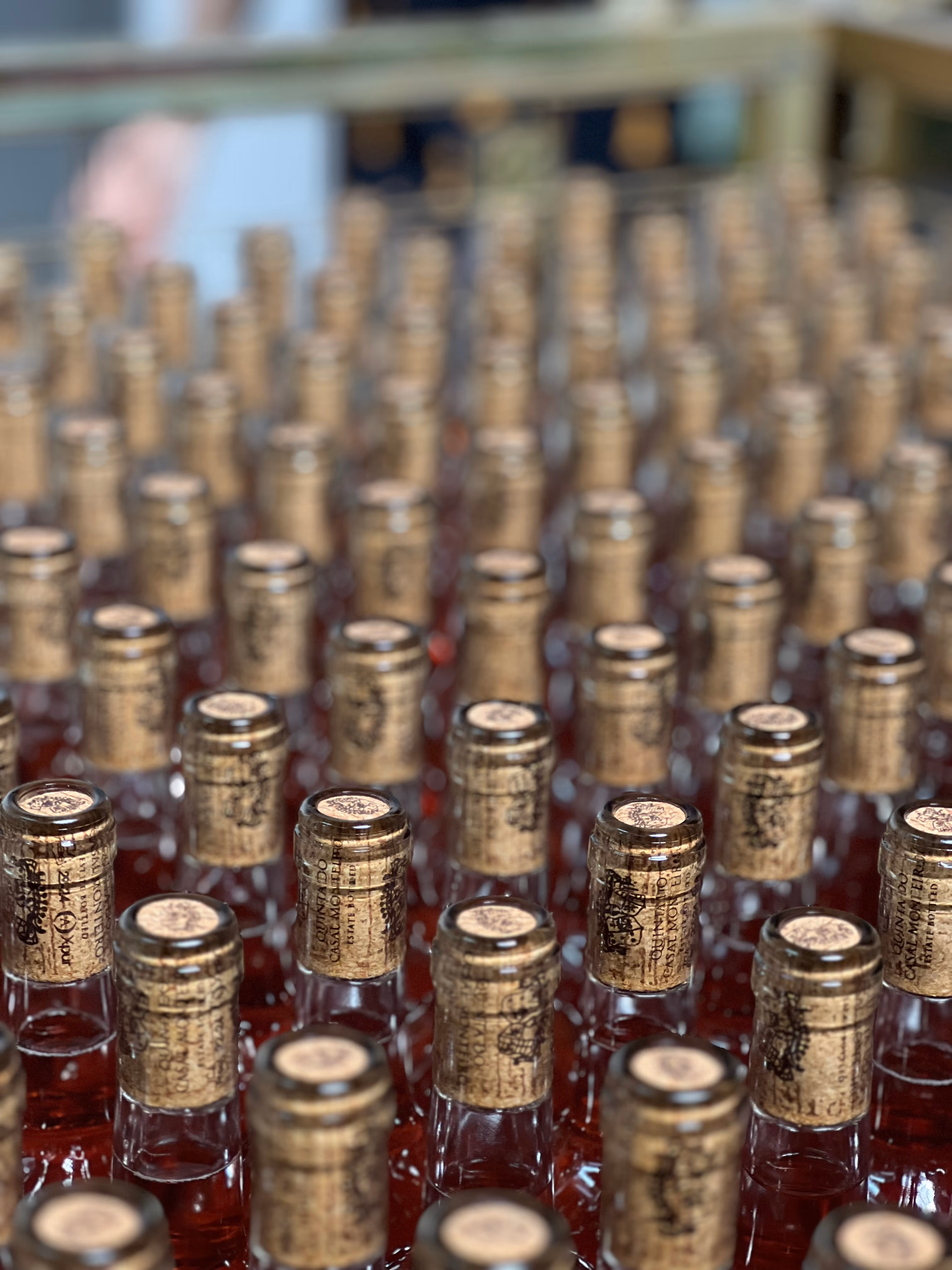 Rows of corked wine bottles filled with rosé on a bottling line during production at a winery