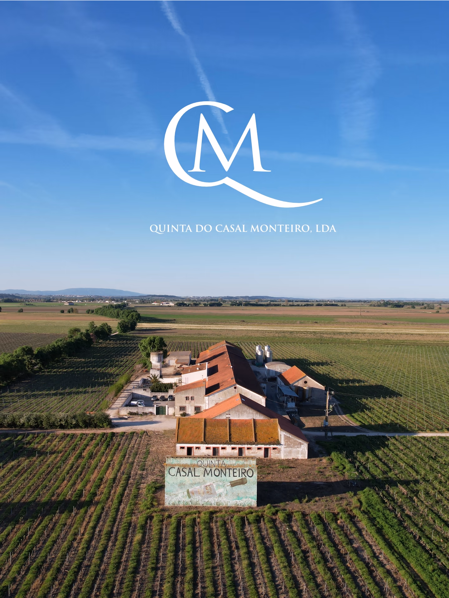 Vineyard details